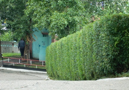 благоустройство